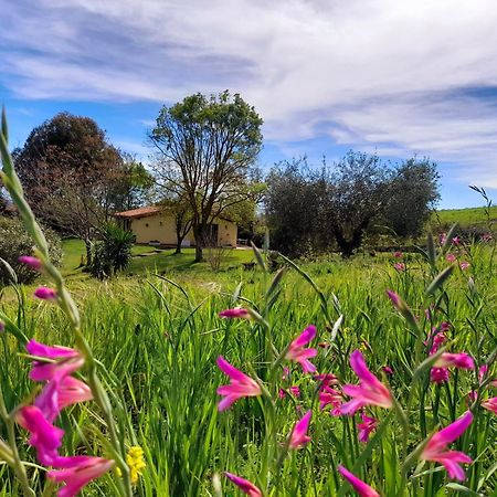 Agriturismo La Sorgente Fonteblanda Kültér fotó