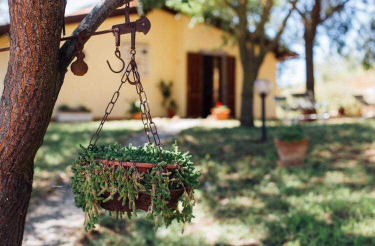 Agriturismo La Sorgente Fonteblanda Kültér fotó