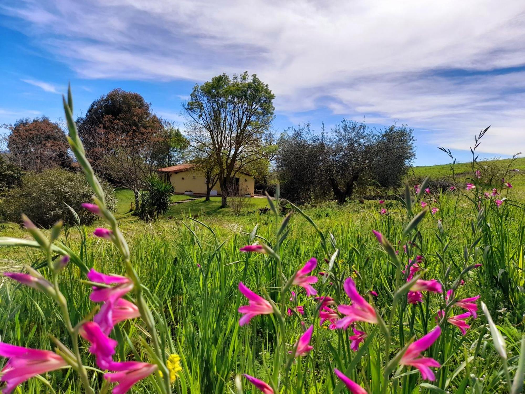 Agriturismo La Sorgente Fonteblanda Kültér fotó