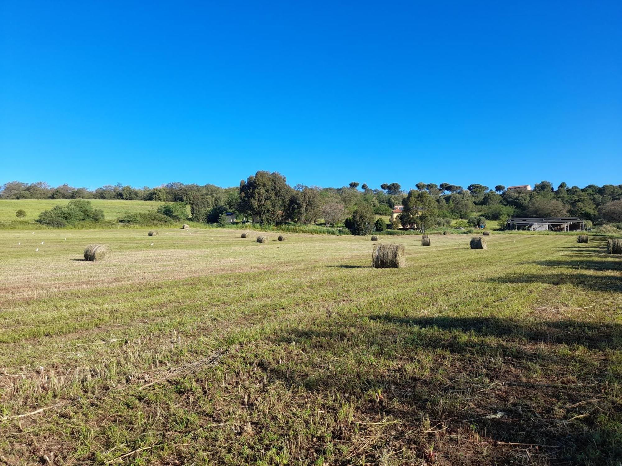 Agriturismo La Sorgente Fonteblanda Kültér fotó
